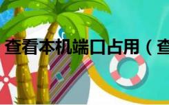 查看本机端口占用（查看本机端口占用情况）