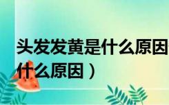 头发发黄是什么原因缺维生素b（头发发黄是什么原因）