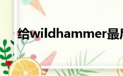 给wildhammer最后一个警告井的坐标