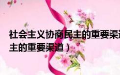 社会主义协商民主的重要渠道和专门机构（社会主义协商民主的重要渠道）