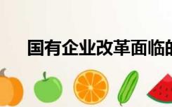 国有企业改革面临的问题和改革的出路