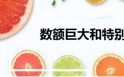 数额巨大和特别巨大如何划分？