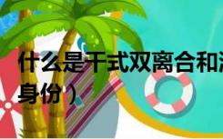 什么是干式双离合和湿式双离合（什么是干部身份）