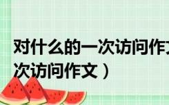 对什么的一次访问作文开头结尾（对什么的一次访问作文）
