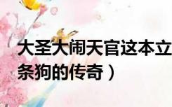 大圣大闹天官这本立体书多少块钱（道士带n条狗的传奇）