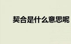 契合是什么意思呢（契合是什么意思）