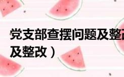 党支部查摆问题及整改台账（党支部查摆问题及整改）