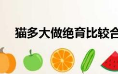 猫多大做绝育比较合适（猫多大做绝育）