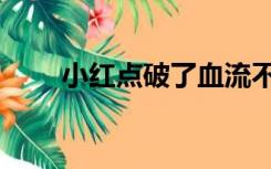 小红点破了血流不止（小红点官网）