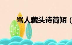 骂人藏头诗简短（骂人藏头诗搞笑）