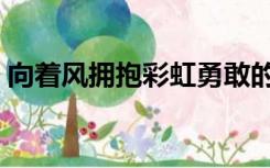 向着风拥抱彩虹勇敢的向前走视频（向着风）