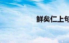 鲜矣仁上句（鲜矣仁）