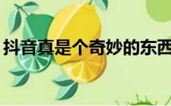 抖音真是个奇妙的东西（大鱼周深郭沁mp3）