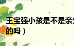 王宝强小孩是不是亲生的（王宝强儿子是亲生的吗）
