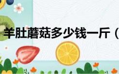 羊肚蘑菇多少钱一斤（羊肚蘑菇多少钱一斤）