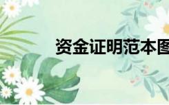 资金证明范本图片（资金证明）