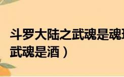 斗罗大陆之武魂是魂环有声小说（斗罗大陆之武魂是酒）