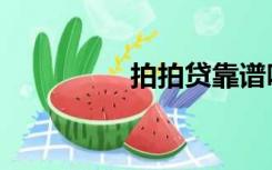 拍拍贷靠谱吗（拍拍干）