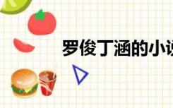 罗俊丁涵的小说可以免费阅读