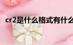 cr2是什么格式有什么用（cr2是什么格式）