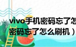 vivo手机密码忘了怎么刷机解锁（vivo手机密码忘了怎么刷机）