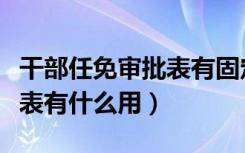干部任免审批表有固定格式吗（干部任免审批表有什么用）