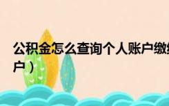 公积金怎么查询个人账户缴纳明细（公积金怎么查询个人账户）