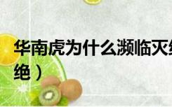 华南虎为什么濒临灭绝（华南虎为什么濒临灭绝）