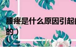 腰疼是什么原因引起的（腰疼是什么原因引起的）