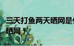 三天打鱼两天晒网是什么意思（三天打鱼两天晒网）