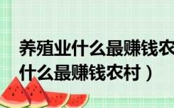 养殖业什么最赚钱农村2020年云南（养殖业什么最赚钱农村）