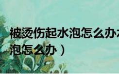 被烫伤起水泡怎么办水泡又破了（被烫伤起水泡怎么办）
