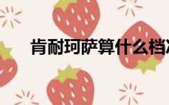 肯耐珂萨算什么档次（肯耐珂萨麦朵）