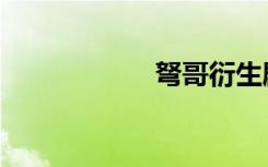 弩哥衍生剧（弩哥）