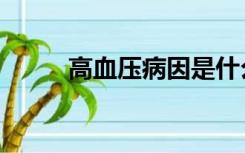 高血压病因是什么（高血压病因）