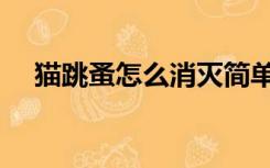 猫跳蚤怎么消灭简单（猫跳蚤怎么消灭）