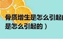 骨质增生是怎么引起的要注意什么（骨质增生是怎么引起的）