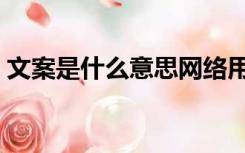 文案是什么意思网络用语（文案是什么意思）