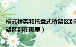 槽式桥架和托盘式桥架区别在哪里呢（槽式桥架和托盘式桥架区别在哪里）