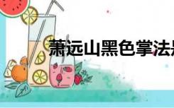 萧远山黑色掌法是什么（萧远山）
