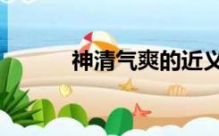 神清气爽的近义词（神清气爽）