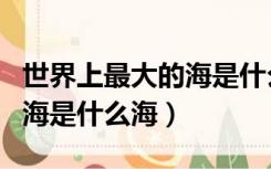 世界上最大的海是什么海采蘼（世界上最大的海是什么海）