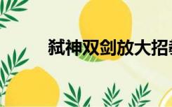 弑神双剑放大招教程（弑神双剑）
