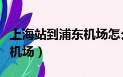 上海站到浦东机场怎么走最快（上海站到浦东机场）
