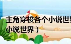 主角穿梭各个小说世界的小说（主角穿梭各个小说世界）
