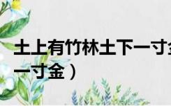 土上有竹林土下一寸金谜底（土上有竹林土下一寸金）