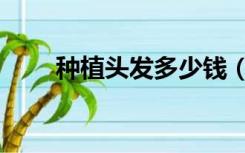 种植头发多少钱（种植头发多少钱）
