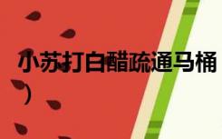 小苏打白醋疏通马桶（小苏打白醋疏通下水道）
