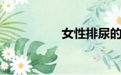 女性排尿的高清前视图