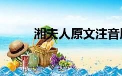 湘夫人原文注音版（湘夫人原文）